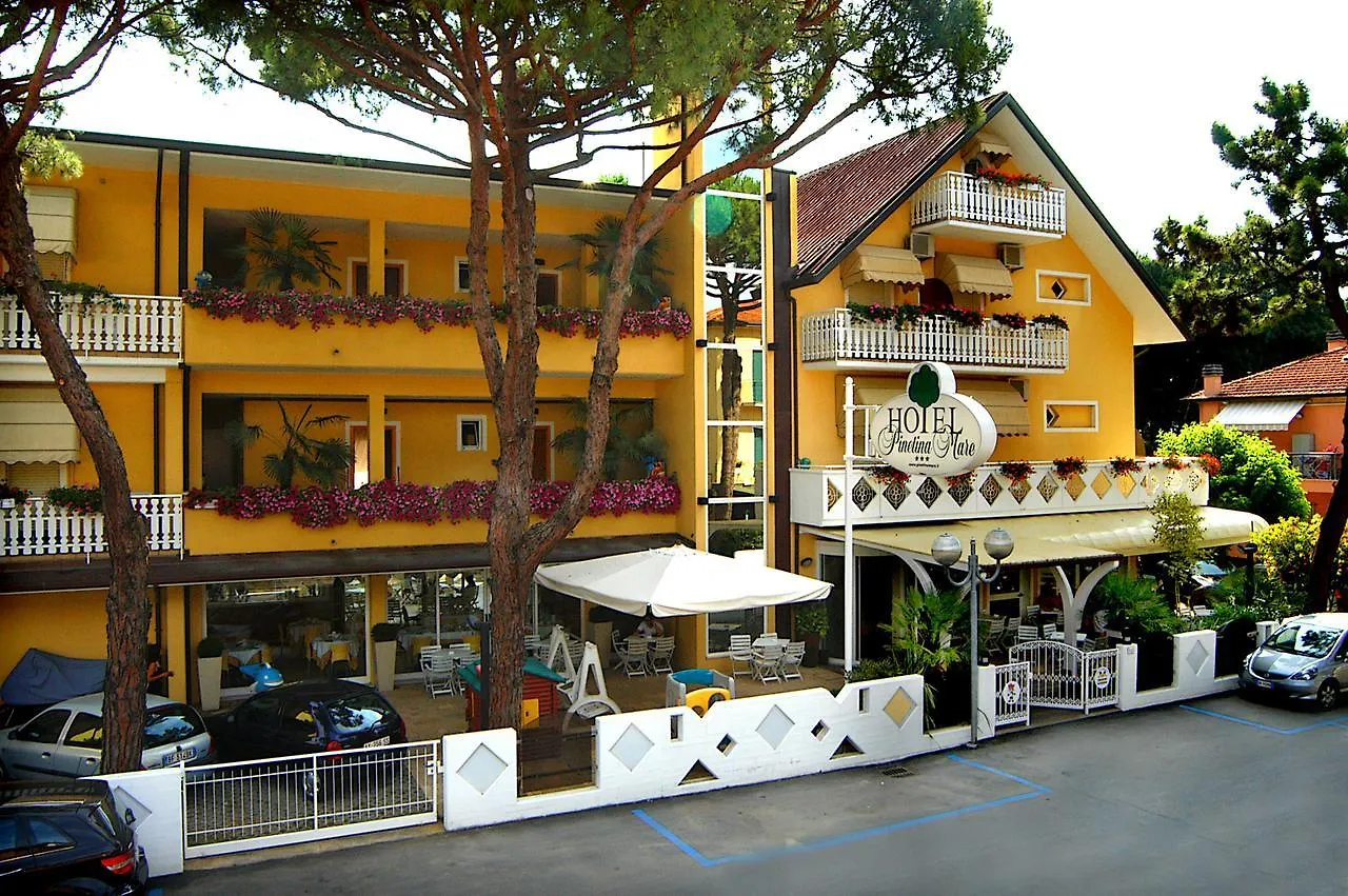 Pinetina Mare Baby Family Hotel Pinarella